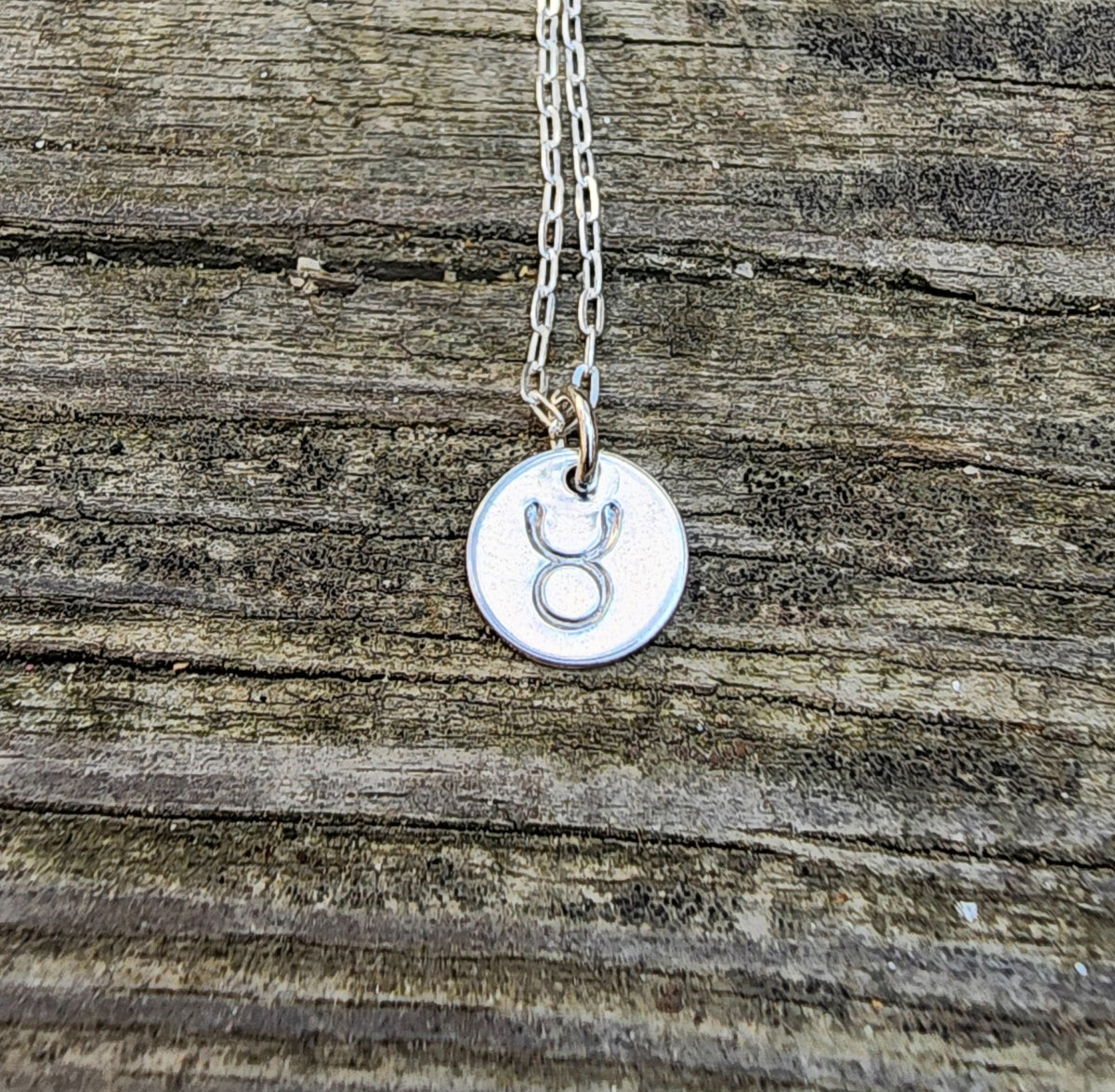 Taurus Charm Taurus Charm Necklace – Songbird Silver