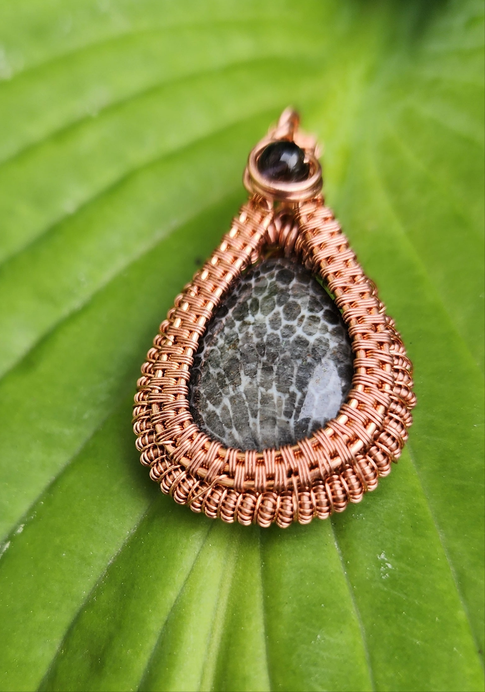 Fossil Coral and Iolite Woven Pendant