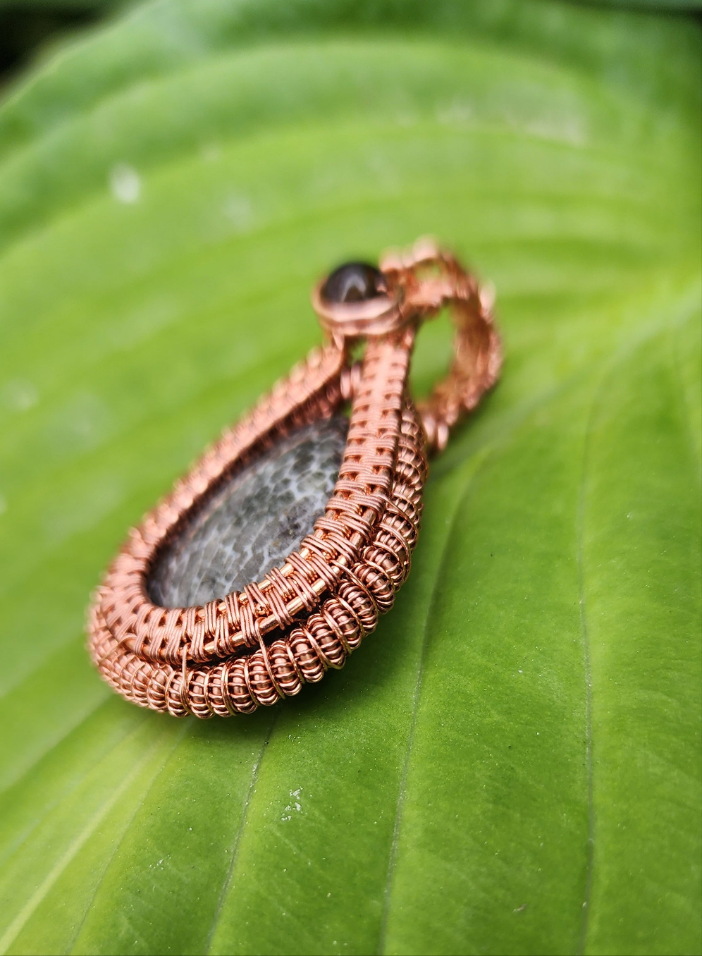 Fossil Coral and Iolite Woven Pendant